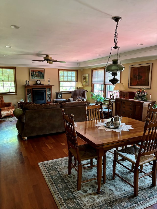 dining space featuring ceiling fan and dark hardwood / wood-style flooring