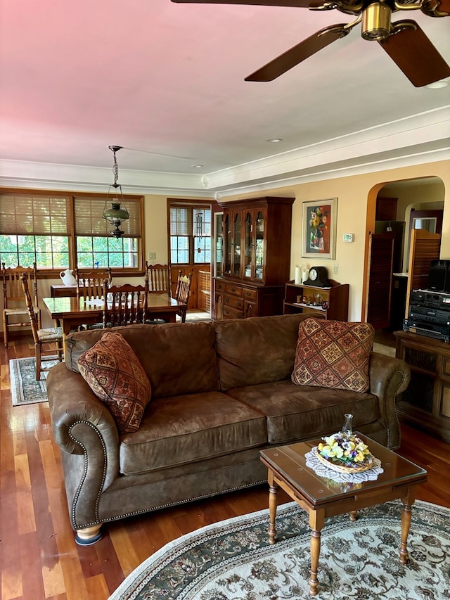 living room with dark hardwood / wood-style flooring