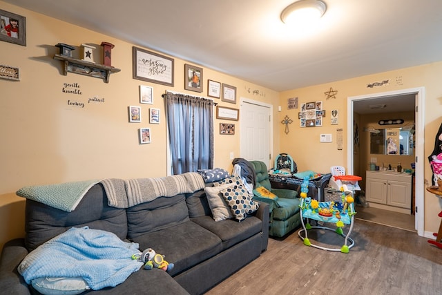 living room with wood-type flooring