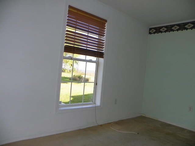 empty room featuring carpet