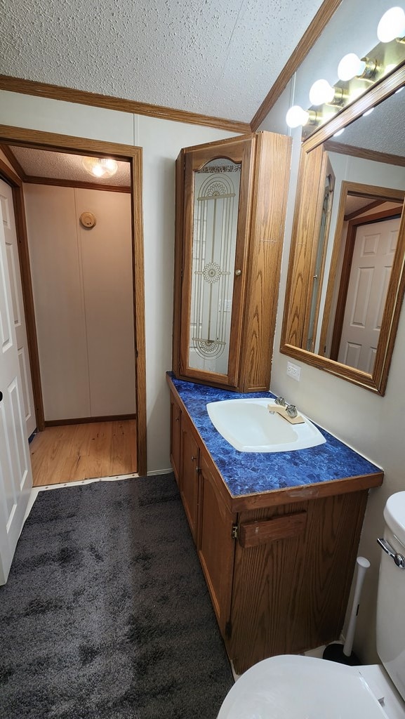 bathroom with vanity, a textured ceiling, toilet, and ornamental molding