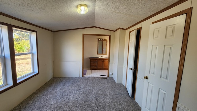 unfurnished bedroom featuring sink, carpet floors, a textured ceiling, and vaulted ceiling