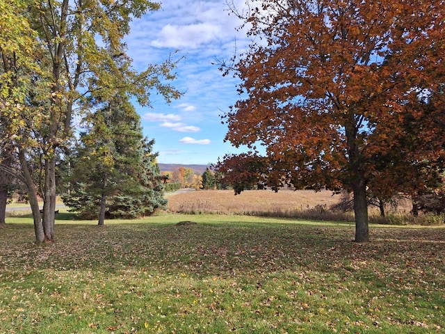 view of yard featuring a rural view