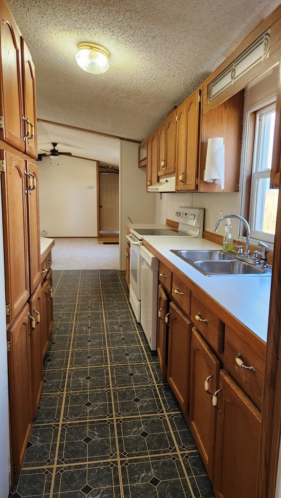 kitchen featuring ceiling fan, sink, ventilation hood, a textured ceiling, and white appliances