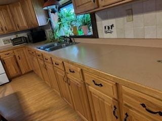 kitchen with sink and light wood-type flooring