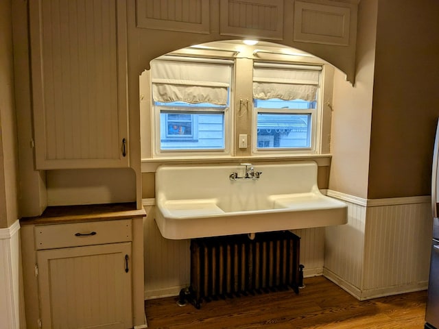 bathroom with wood-type flooring and radiator