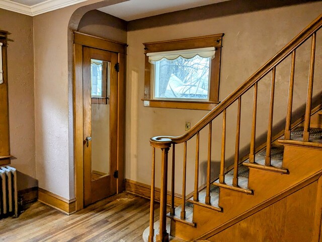 foyer entrance featuring crown molding, radiator heating unit, and hardwood / wood-style floors