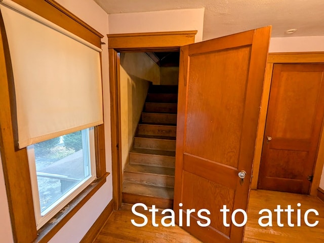 stairs with hardwood / wood-style flooring