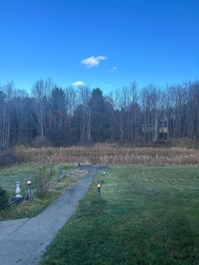 view of community with a lawn