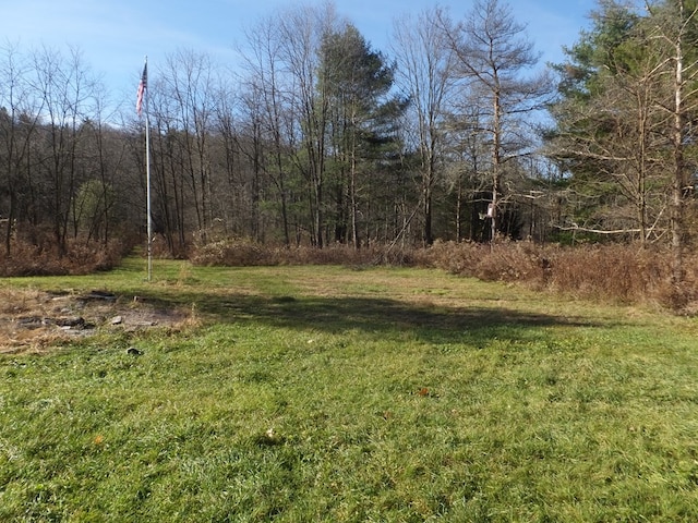 Listing photo 2 for 1350 County Road 16, Beaver Dams NY 14812