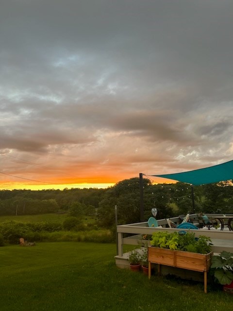 view of yard at dusk