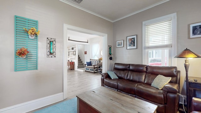 living room with crown molding and wood-type flooring