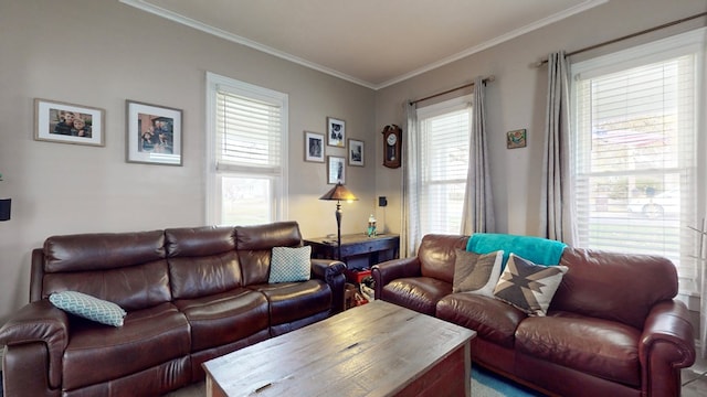 living room featuring crown molding and a healthy amount of sunlight