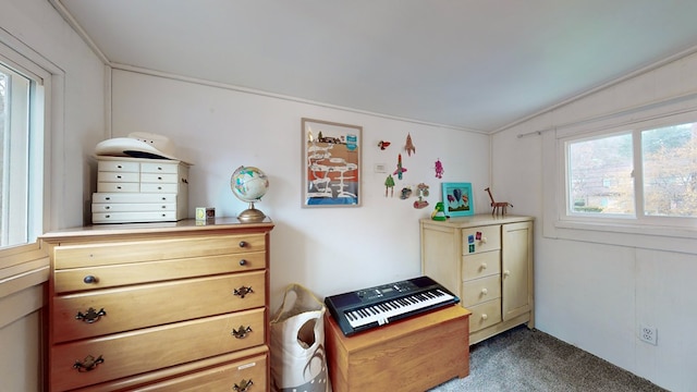 miscellaneous room featuring dark carpet, vaulted ceiling, and ornamental molding