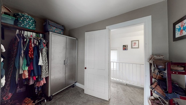 spacious closet featuring carpet flooring