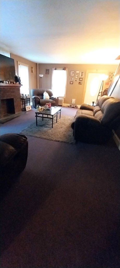 living room featuring a wealth of natural light and carpet