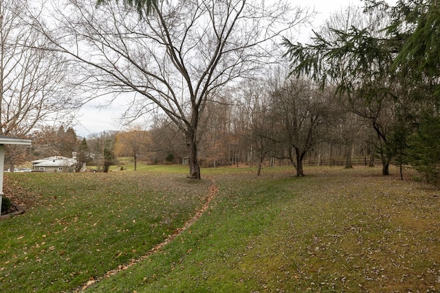 view of yard