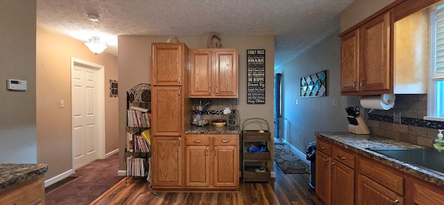 kitchen with decorative backsplash, dark hardwood / wood-style flooring, a textured ceiling, and sink