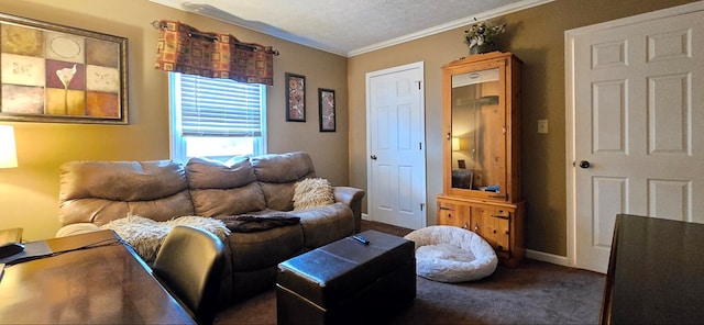 living room featuring a textured ceiling and ornamental molding