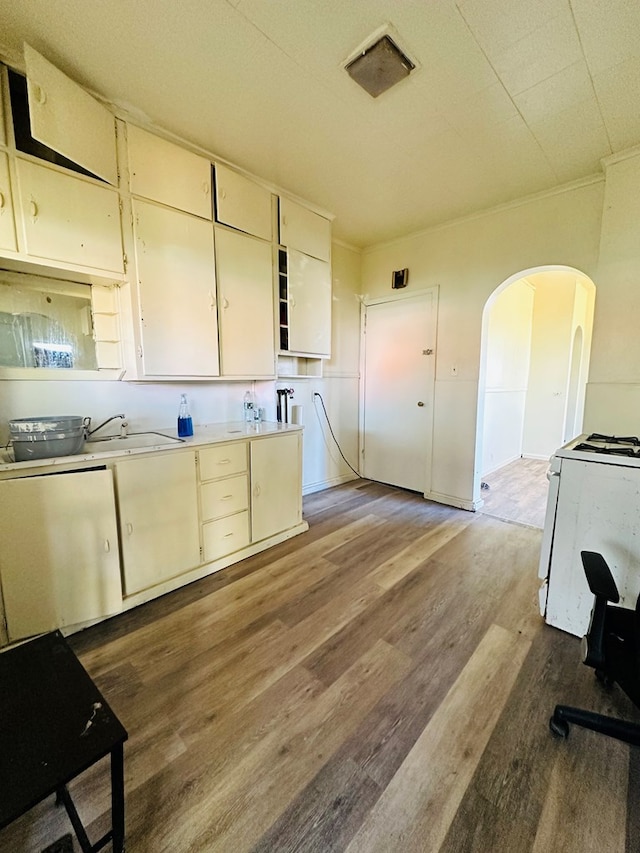 kitchen featuring ornamental molding, dark hardwood / wood-style floors, sink, and white stove