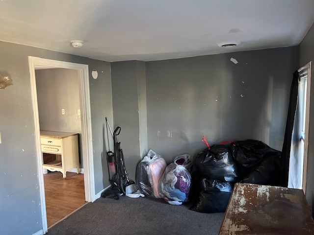 bedroom with wood-type flooring