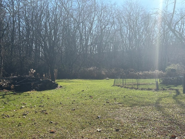 view of yard with a rural view