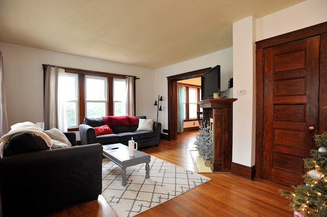 living room with light hardwood / wood-style flooring