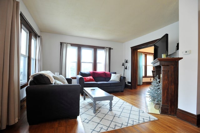 living room featuring light hardwood / wood-style floors