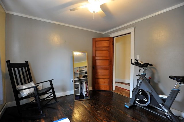 exercise room featuring dark hardwood / wood-style flooring, ceiling fan, and ornamental molding