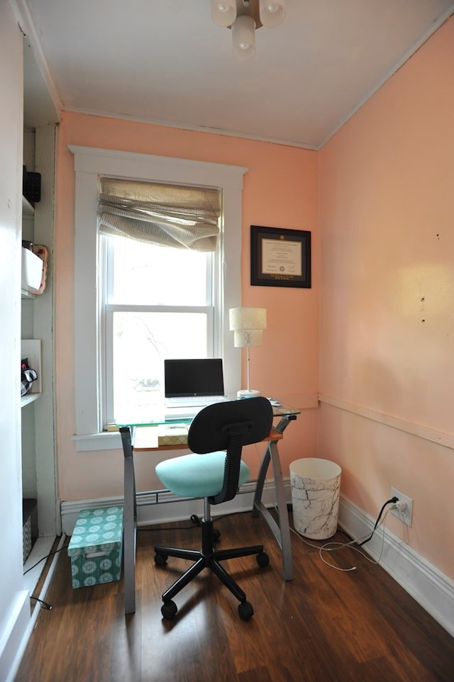 office space featuring hardwood / wood-style flooring