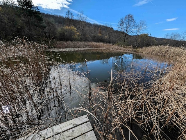 water view