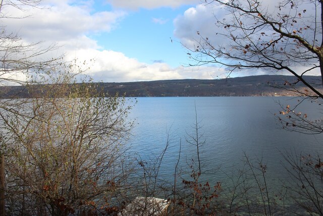 view of water feature