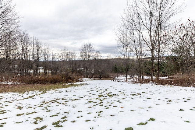 view of yard layered in snow