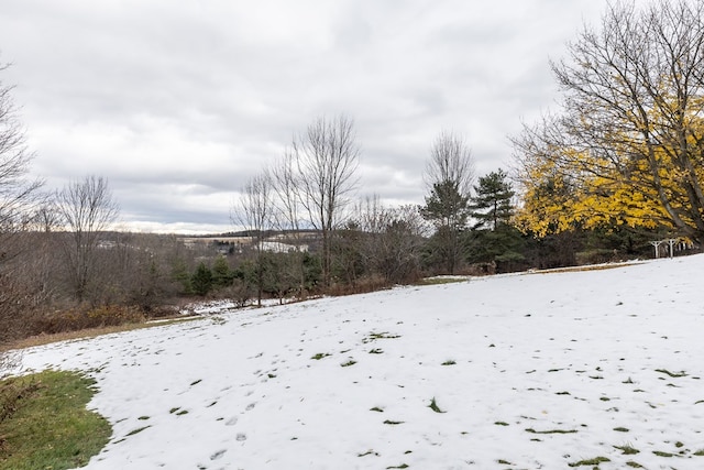 view of snowy yard