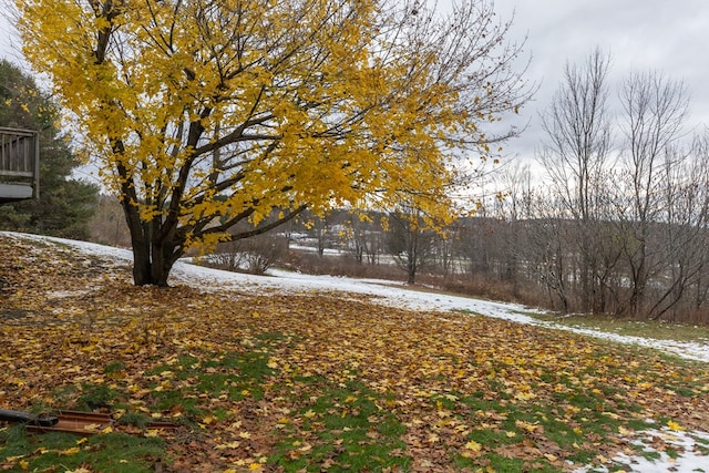 view of yard covered in snow