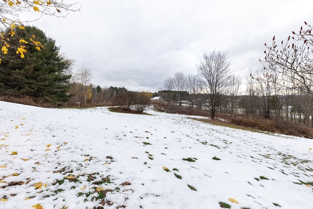 view of yard covered in snow