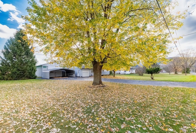 view of yard with a carport