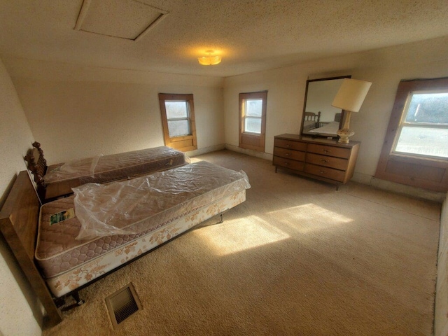 bedroom featuring multiple windows, light carpet, and a textured ceiling