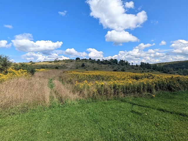 view of local wilderness with a rural view