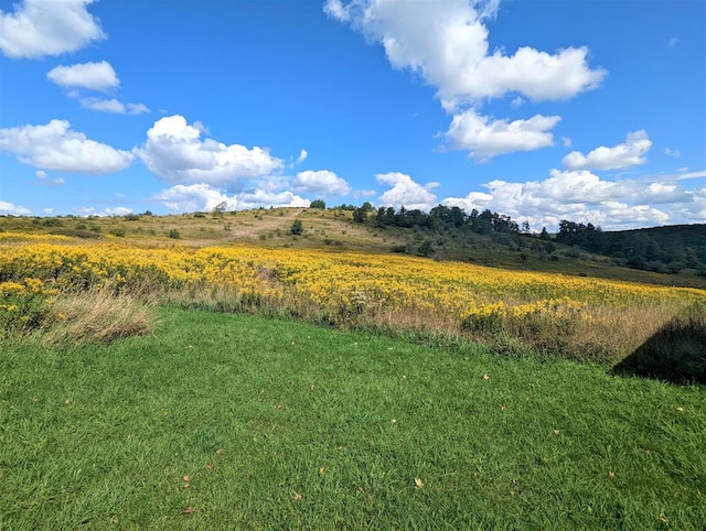 view of local wilderness with a rural view