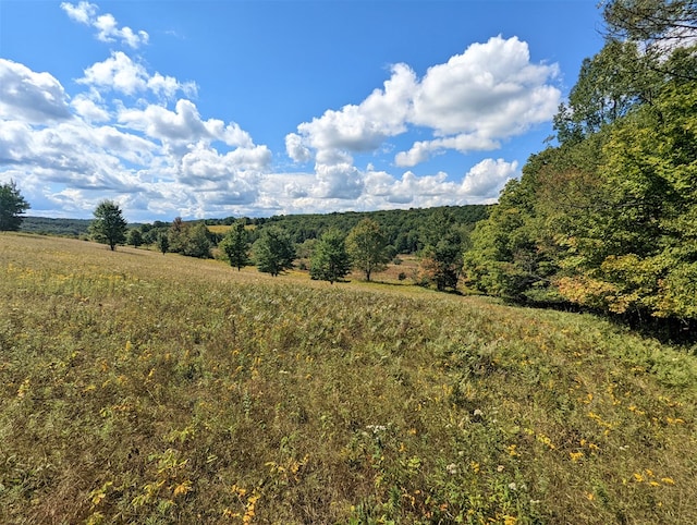 view of local wilderness featuring a rural view