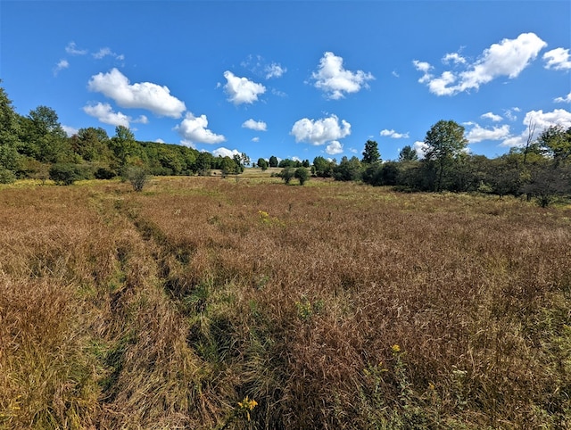 view of landscape featuring a rural view