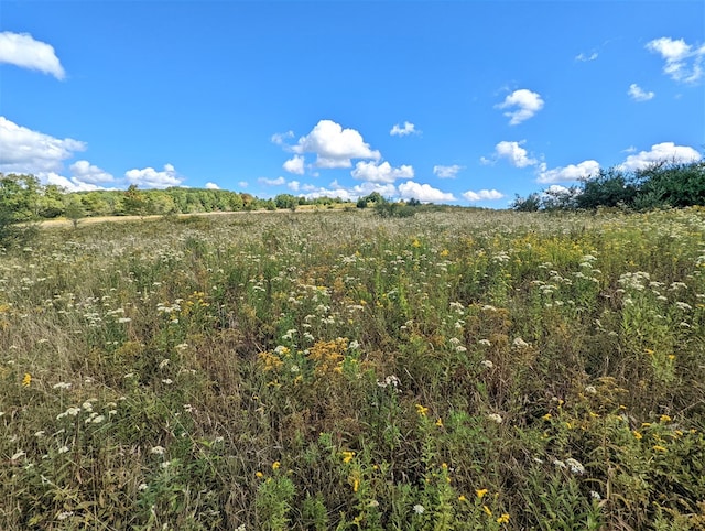 view of nature with a rural view