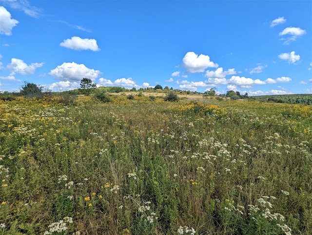 view of nature