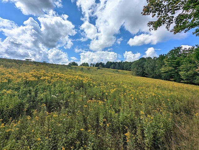 view of nature