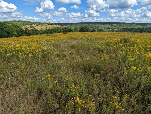 view of landscape