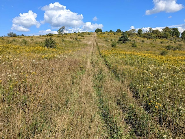 view of nature featuring a rural view