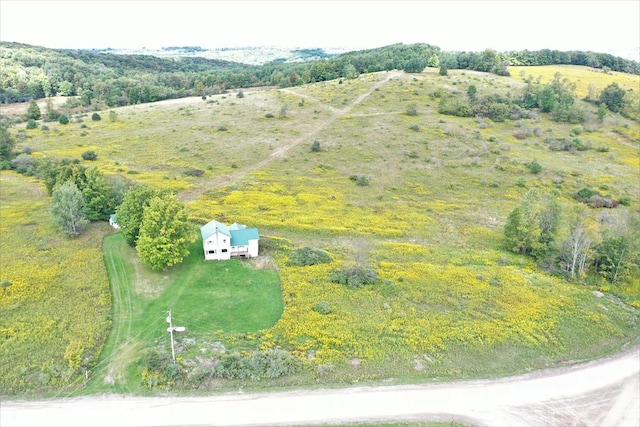 birds eye view of property with a rural view