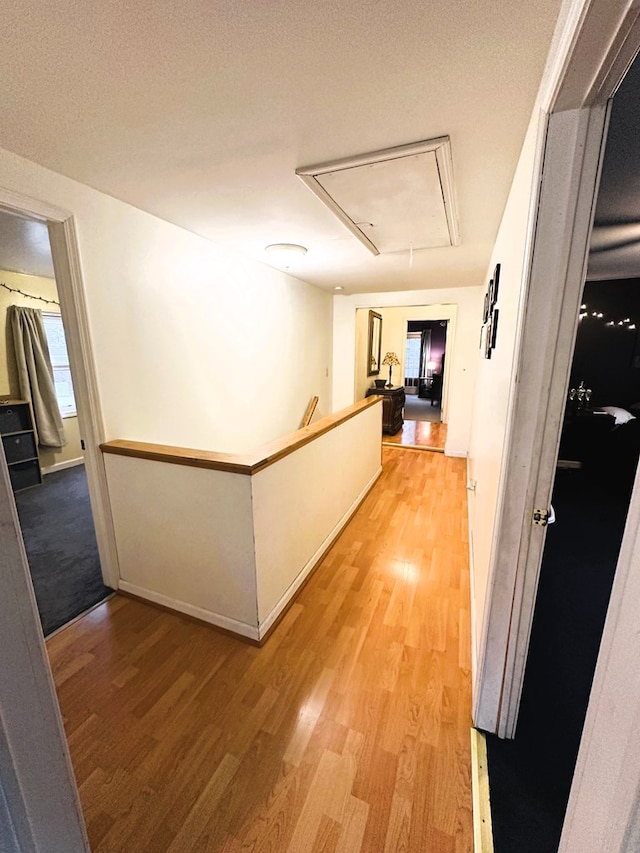 corridor with wood-type flooring and a textured ceiling