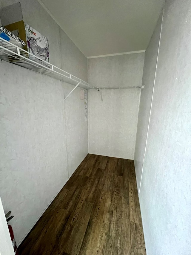 walk in closet featuring wood-type flooring